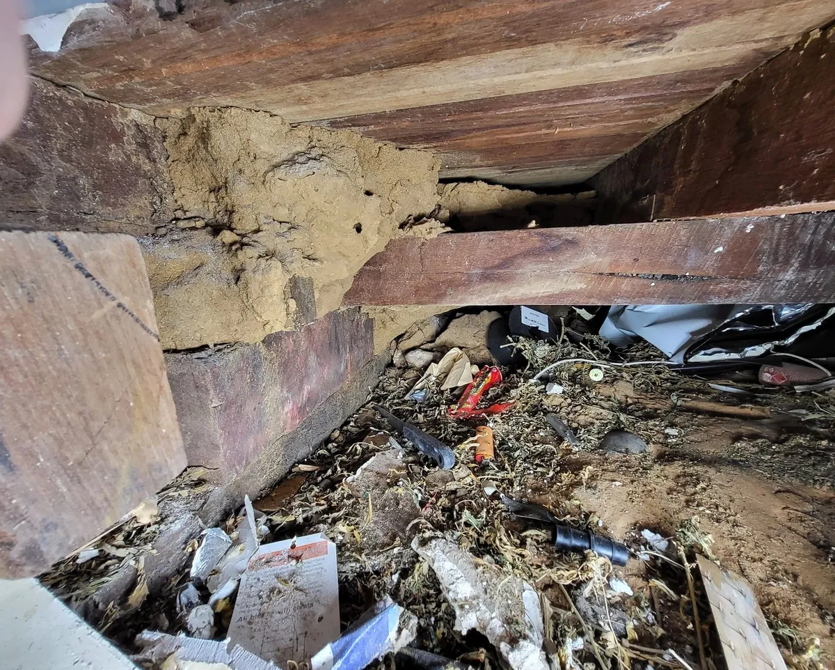 Gutter blocked with leaf debris, a maintenance issue found during inspection