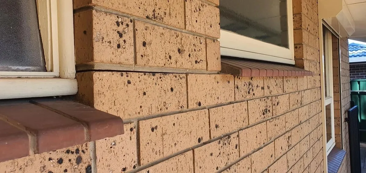 Exterior brickwork and weep holes inspected