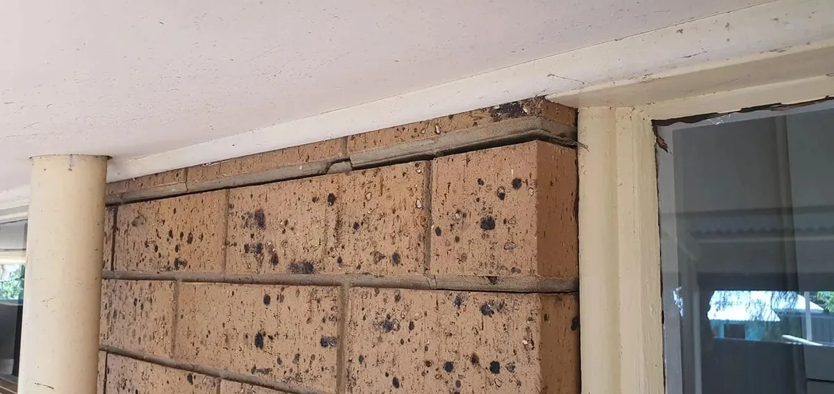 Exterior brickwork beside a window assessed during inspection