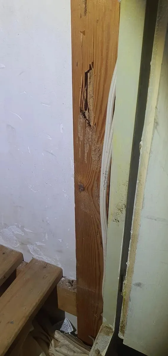 Internal timber framing checked during a building inspection