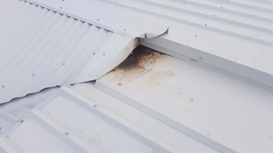 Metal roof sheeting inspected from outside