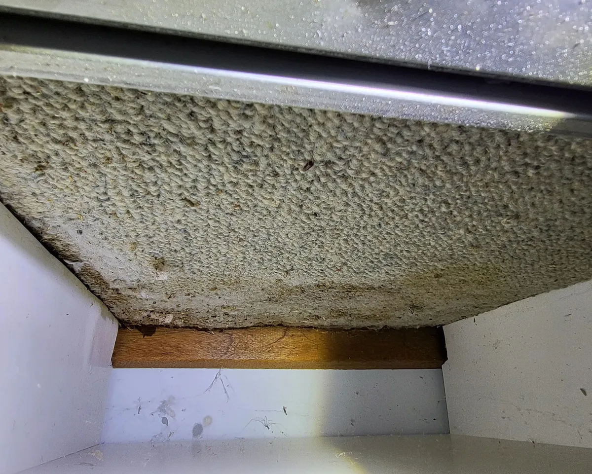 Moisture damage found behind a bathroom shower wall during a building inspection