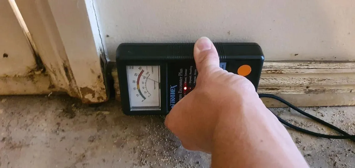 Moisture meter used on flooring during a building and pest inspection