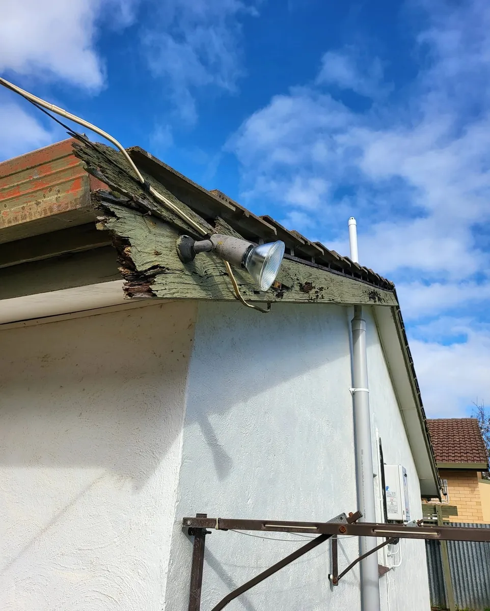 Exterior roofline and eaves assessed during a building inspection
