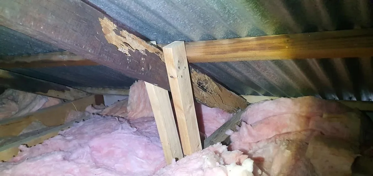 Roof framing inspected from the roof void