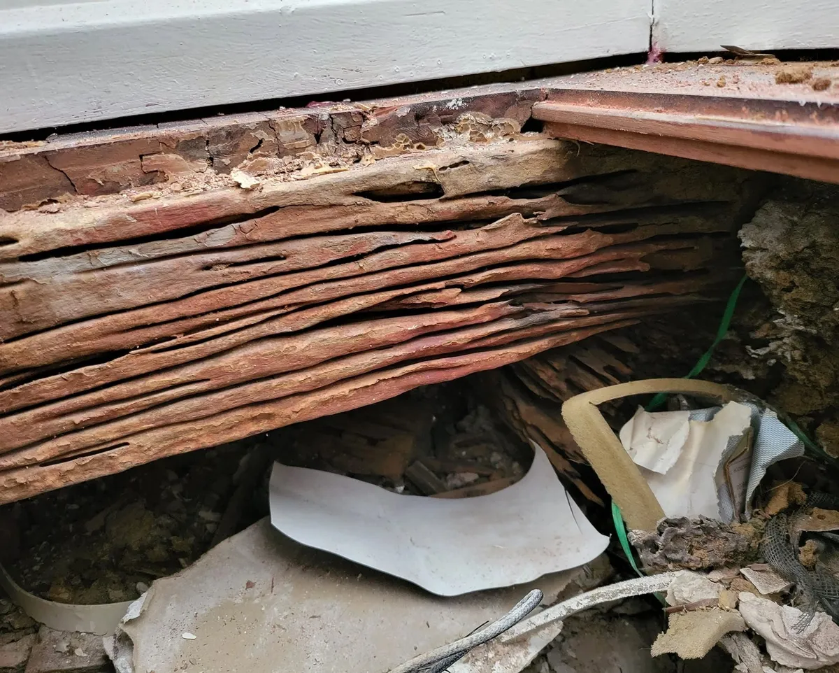 Debris and timber in a roof void inspected during a building inspection