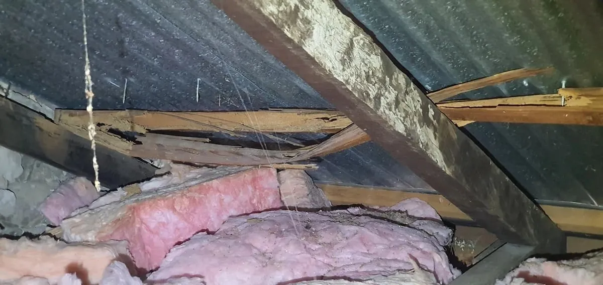 Roof void insulation and timber framing inspection