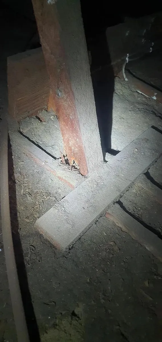 Subfloor timber post inspected for decay and pest damage