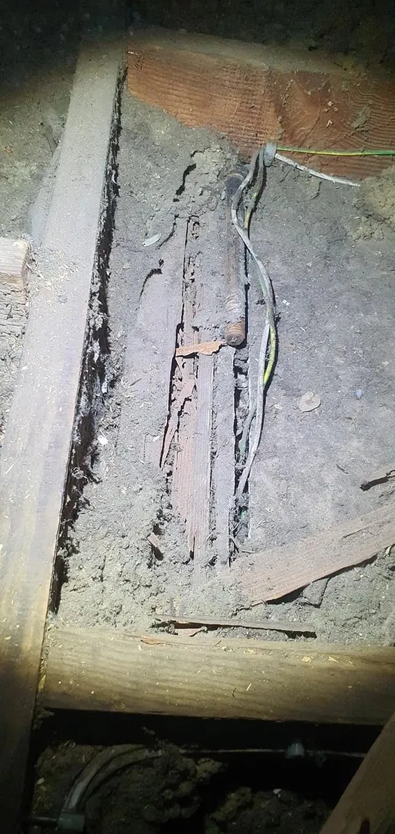Close-up of timber decay found during a building inspection