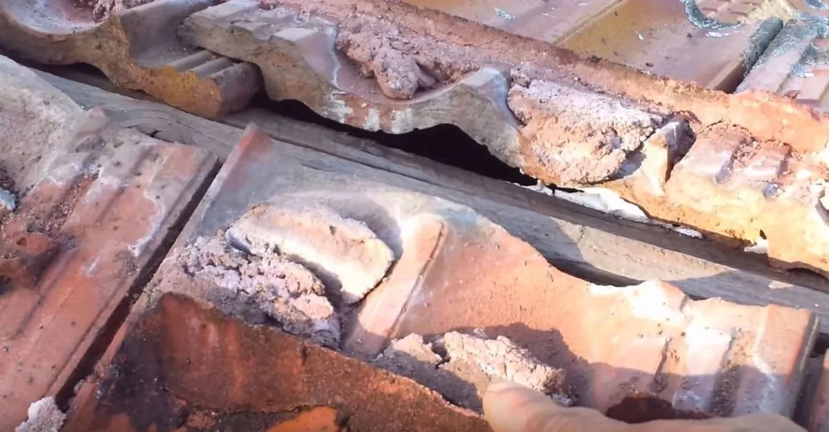 Timber decay in roof framing detected during a building inspection