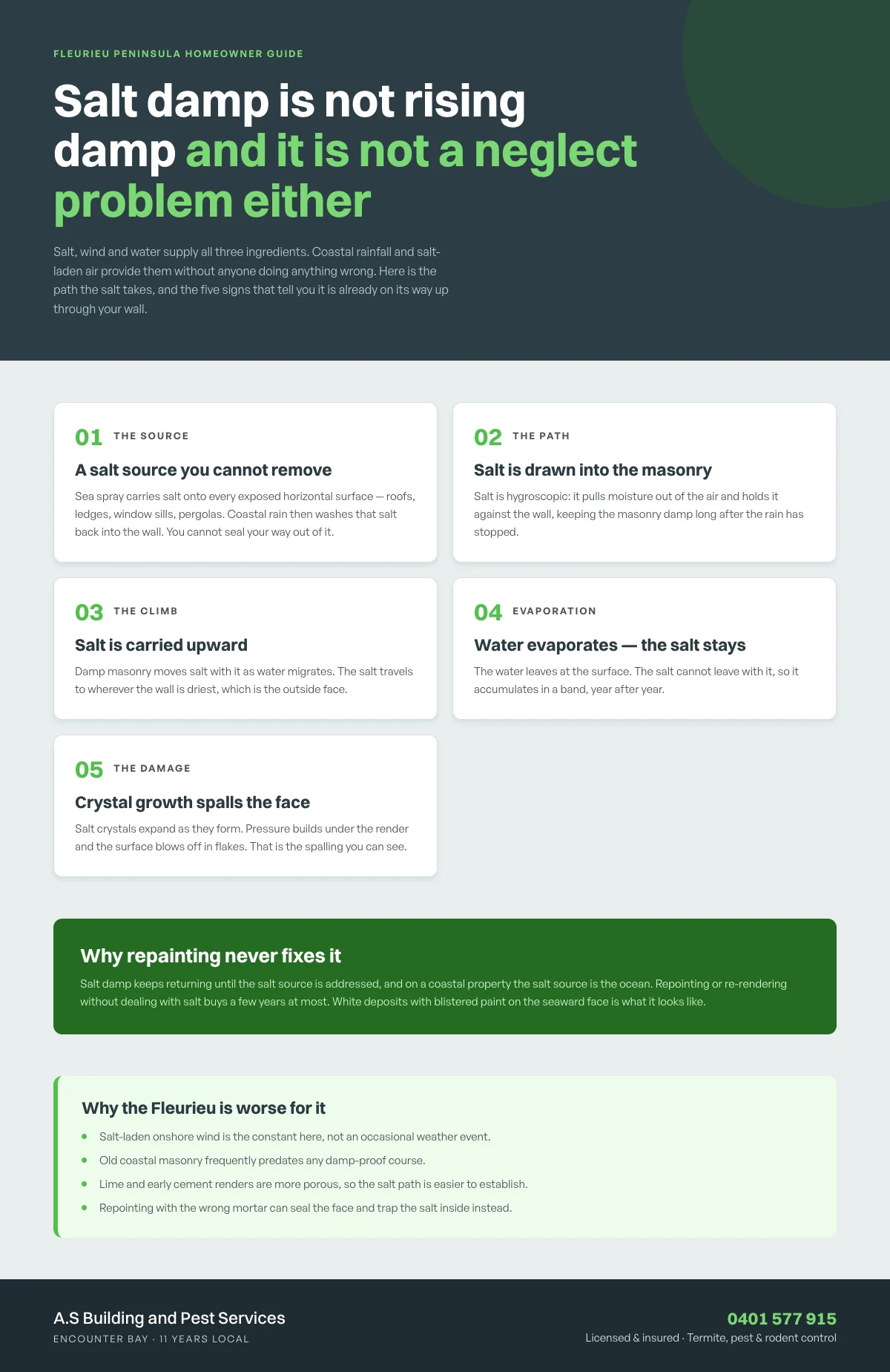 Infographic: Salt damp isn't rising damp and it's not a neglect problem either